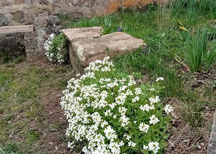 Tatil Evi Le Lenio Langogne